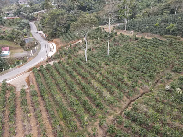 Lotes en venta en San Juan Norte Turrialba.