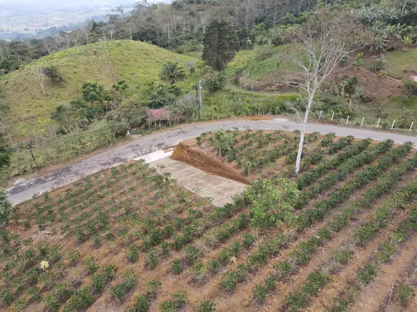 Lotes en venta en San Juan Norte Turrialba.