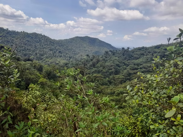 FARM FOR COMPENSATION OF OXYGEN, SAN RAMÓN, ALAJUELA