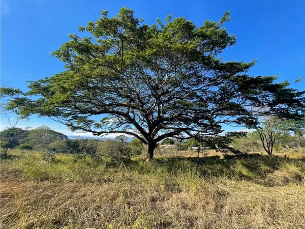 Venta Quinta en La Ceiba de Orotina