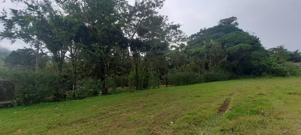 FINCA EN VENTA EN BOSQUE NUBOSO, COSTA RICA, ALAJUELA, SAN RAMÓN