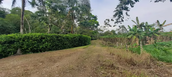 OF OPOPOPRTUNITY! LAND IN CANTON OF RIVER FOURTH, ALAJUELA
