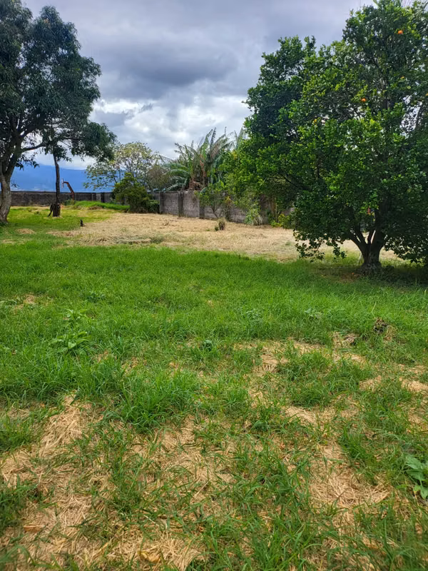 Venta de terreno comercial y habitacional en Llorente de Flores