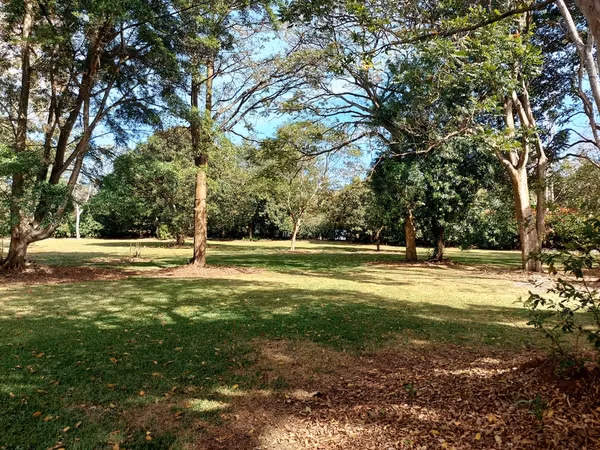 Lote en venta en Naranjo, plano 5000 m² en comunidad cerrada