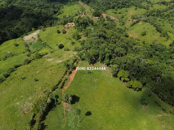 VENTA DE FINCA EN PÉREZ ZELEDÓN