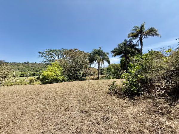 Finca Completa o Lote Máxima Exposición - Cacao Alajuela