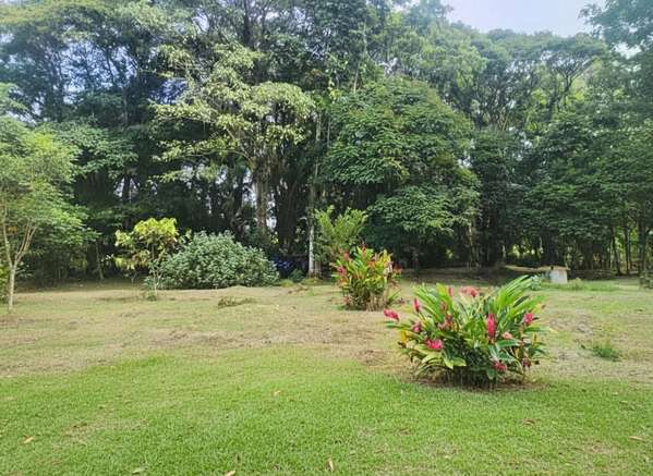 FOR SALE – Country Estate in Orotina | Q-102