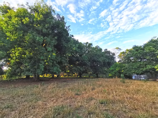 Venta de Lote en Orotina 9.644 m2 LISTO PARA CONSTRUIR.