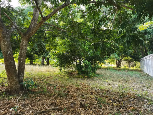 Venta de Lote en Orotina 9.644 m2 LISTO PARA CONSTRUIR.