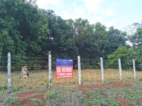 Venta de Lote en Orotina 9.644 m2 LISTO PARA CONSTRUIR.