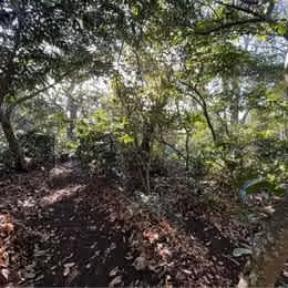 Terreno para Desarrollo inmobiliario en San Pablo
