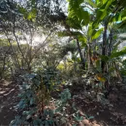Terreno para Desarrollo inmobiliario en San Pablo