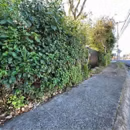 Terreno para Desarrollo inmobiliario en San Pablo