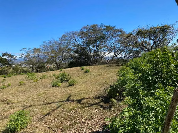 Santa Ana Brasil Residencia Rancho Tico