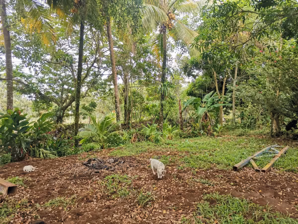 Casa en venta en Florencia, San Carlos, cerca de La Fortuna con riachuelo al frente