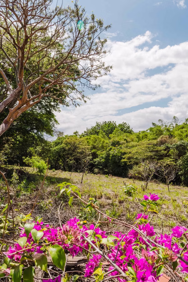 Venta Lote en el Raicero, Grecia