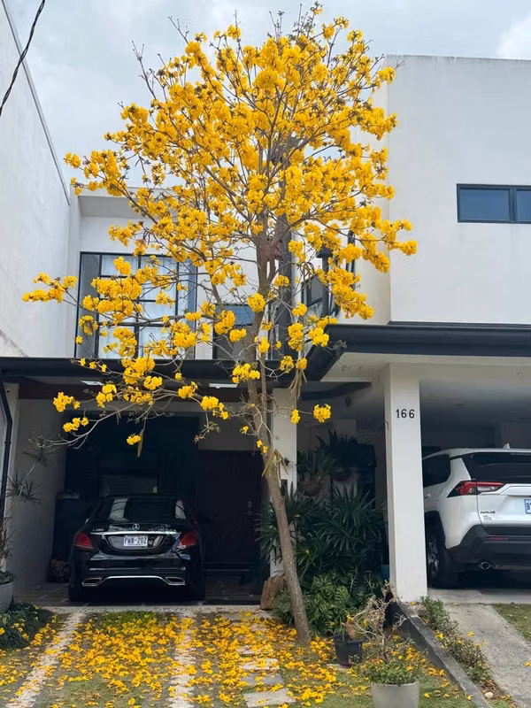 SE VENDE CASA EN EXCLUSIVO CONDOMINIO Curridabat (Lomas de Granadilla))