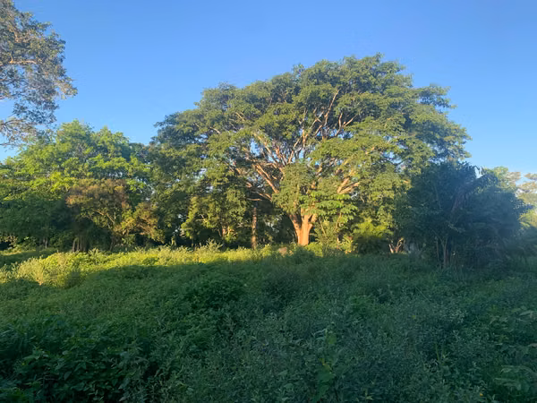 Se venden QUINTAS EN EL CENTRO DE MIRAMAR PUNTARENAS