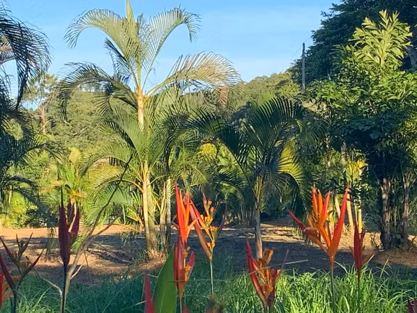 Se venden QUINTAS EN EL CENTRO DE MIRAMAR PUNTARENAS