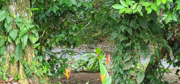 Lote con vistas al volcán Arenal, en Condominio El trapiche  Fortuna