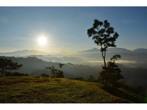 For Sale: Spectacular Lots in Gated Community in Puriscal