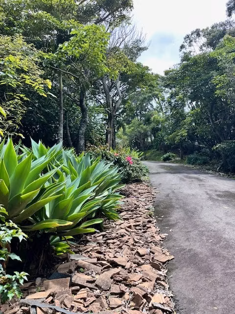 Vivienda cerca del centro de San Rafael 8820m2 terreno