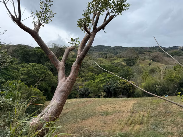 Venta de lote en Piedades de Santa Ana. 3821 metros y naturaleza. 325 000 usd