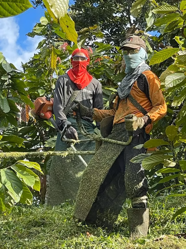 Finca sembrada con cacao- Virgen de Sarapiqui - Heredia