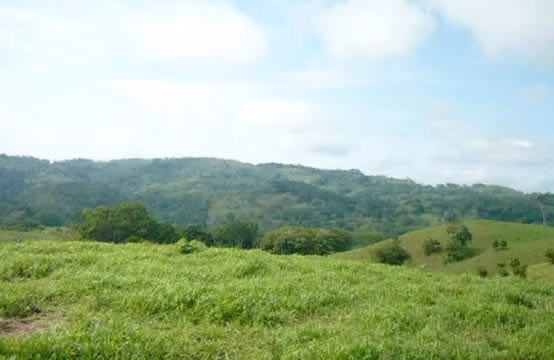 finca ganadera en venta pozo azul de abangares guanacaste