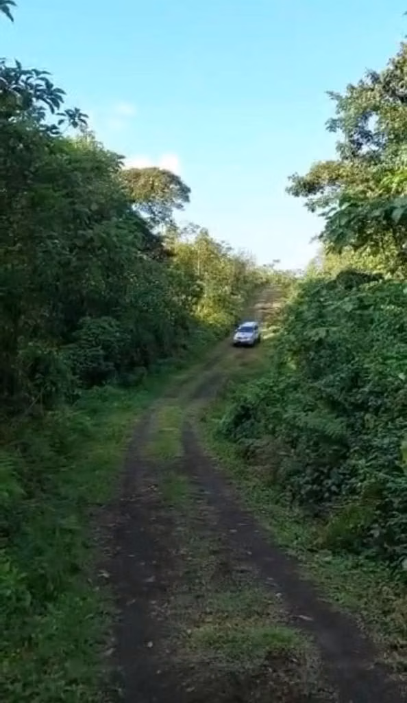 Hermosa finca de oportunidad