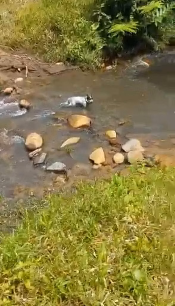 Hermosa finca de oportunidad