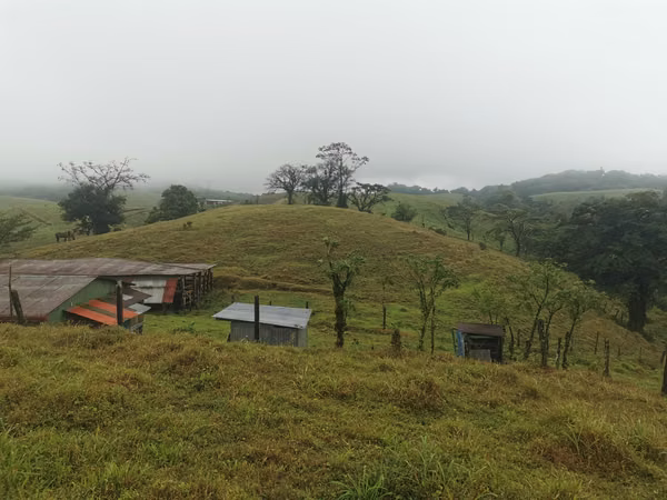 Hermosa finca de oportunidad
