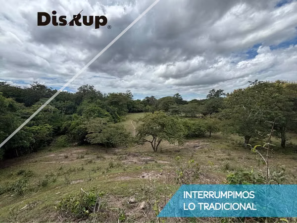 Venta de terreno 9015m2 - Liberia Nacascolo