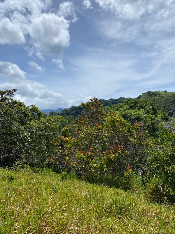 Terreno en Guacimal de Puntarenas (mas de 9 hectáreas)