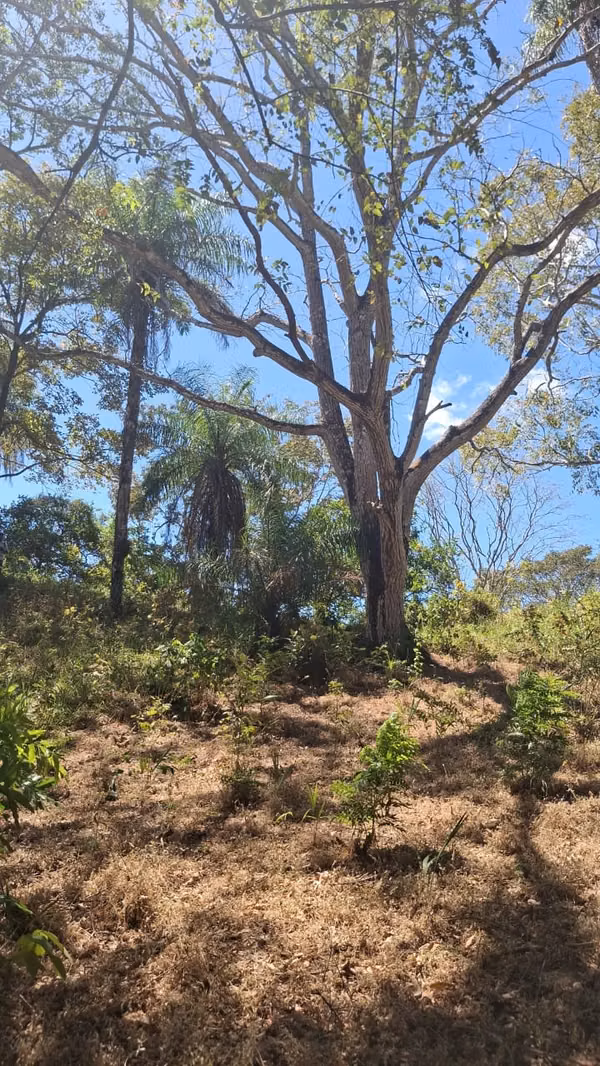 Terreno en Guacimal de Puntarenas (mas de 9 hectáreas)