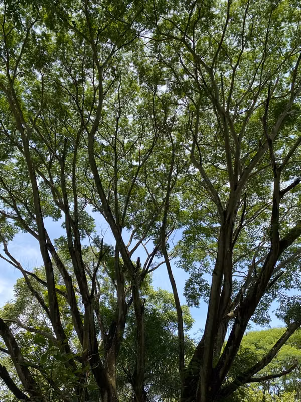 Terreno en Guacimal de Puntarenas (mas de 9 hectáreas)