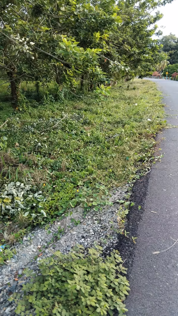 Venta de Terreno en Limón, a 8 Km de APM Terminals. 5492