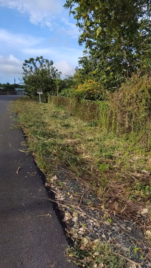 Venta de Terreno en Limón, a 8 Km de APM Terminals. 5492