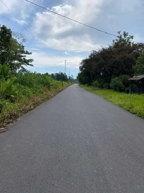 Venta de Terreno en Limón, a 8 Km de APM Terminals. 5492