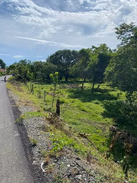 Venta de Terreno en Limón, a 8 Km de APM Terminals. 5492
