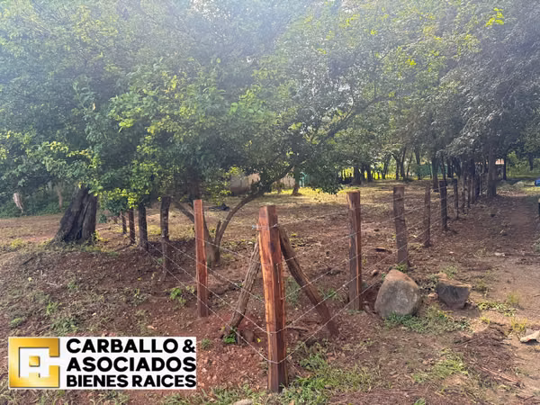 Oportunidad en Tamarindo – Lote de 2000 m² en El Llanito
