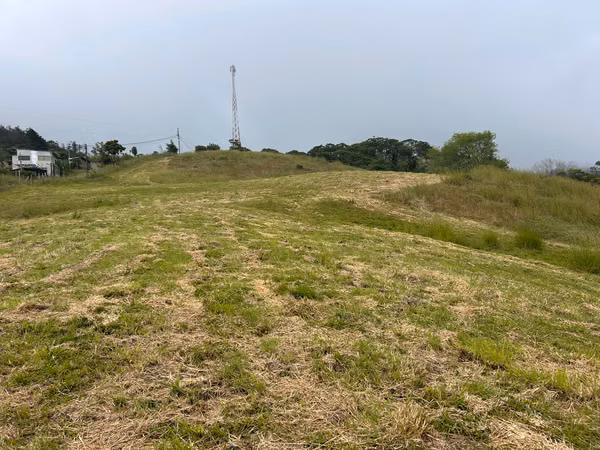 La Cangreja Cartago - Guarco Preciosa quinta!! #459