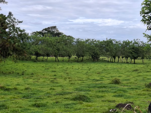 EN VENTA Finca Ganadera de 219 hectáreas, Pococí (US$24,000/hectárea)