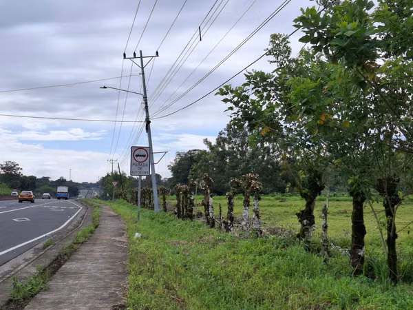 EN VENTA Finca Ganadera de 219 hectáreas, Pococí (US$24,000/hectárea)