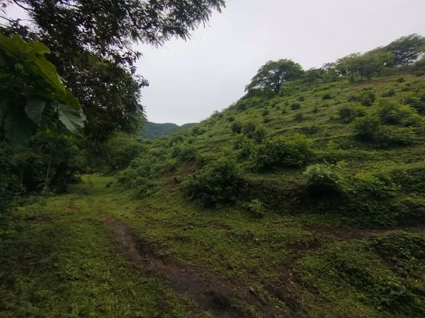 sale of 41.7 Hectareas in Piedad de Santa Ana
