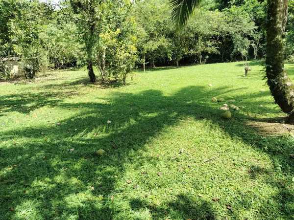 Terreno de 1 Hectárea en Pocora, Guácimo
