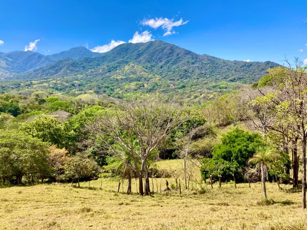 Fincas en Venta en Turrubares para desarrollo