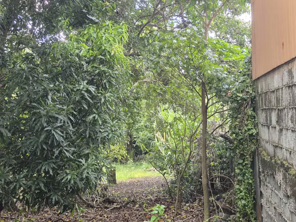 Venta de lote residencial y/o comercial en Tres Ríos