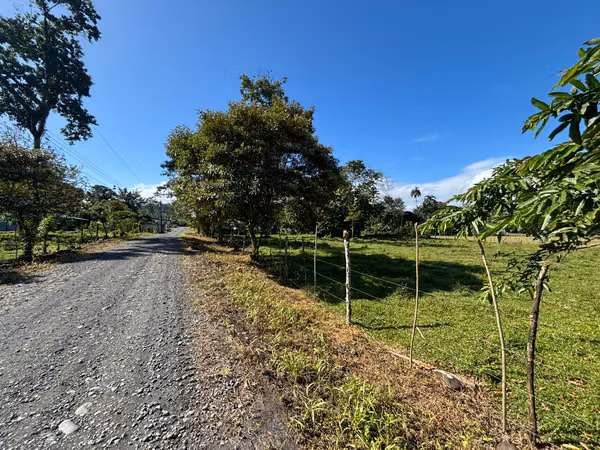 Bellos Terrenos ubicados cerca de la escuela La Marina, Guapiles.