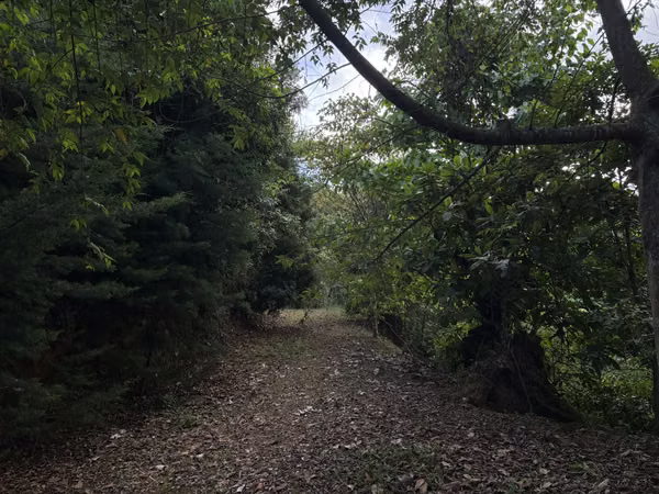 SE VENDE HERMOSA FINCA CON ESPECTACULAR VISTA
